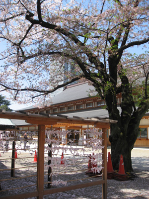 f0143445_15729.jpg