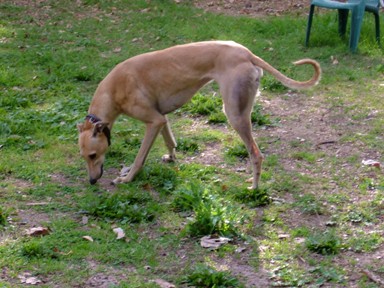 c0078451_123276.jpg