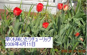 a0021554_15175698.jpg