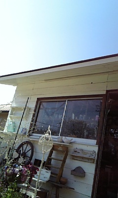 d0144861_1054617.jpg