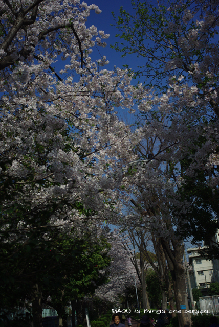 f0096666_1040515.jpg