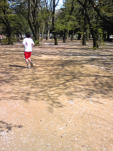 f0166066_172797.jpg