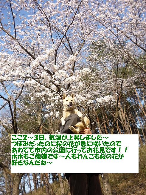 e0139167_0767.jpg