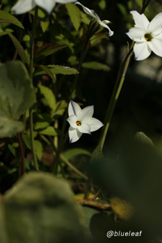 c0027369_1622182.jpg