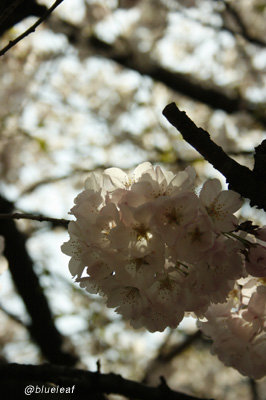 c0027369_17223584.jpg