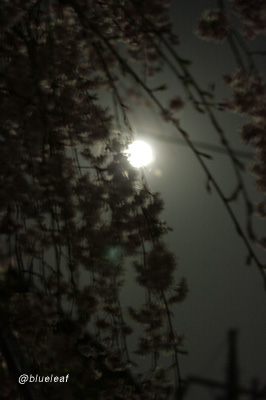c0027369_17523247.jpg