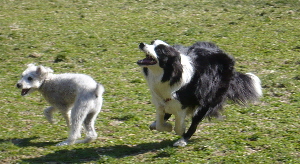 f0203369_21255721.jpg