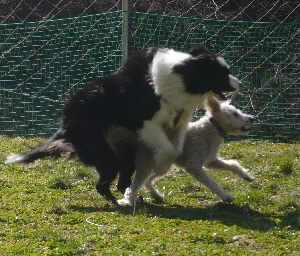 f0203369_2126640.jpg
