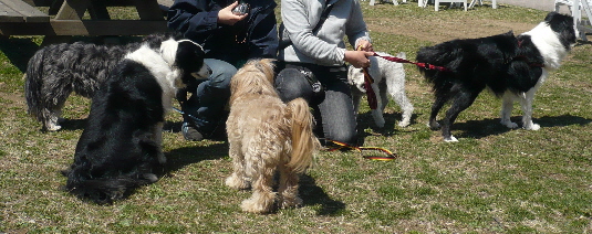 f0203369_21544511.jpg