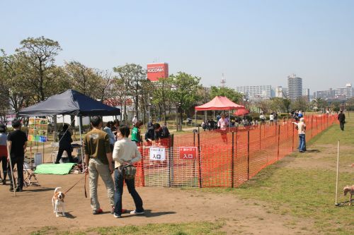 e0062371_2132310.jpg