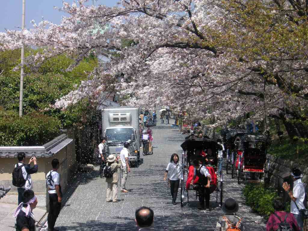 a0051674_1293120.jpg