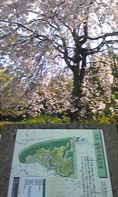 c0061774_17475687.jpg