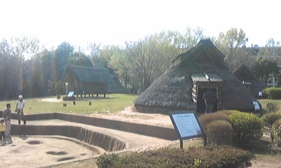 c0061774_1748369.jpg