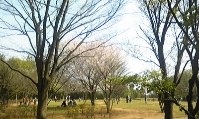 c0061774_17491125.jpg