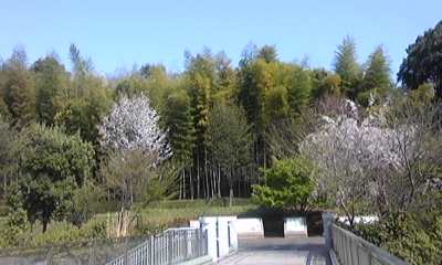 c0061774_17505561.jpg