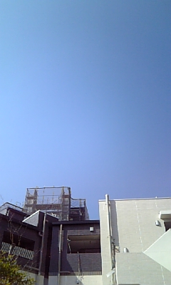 e0113675_831114.jpg