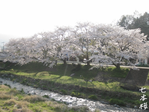 f0175875_2271870.jpg