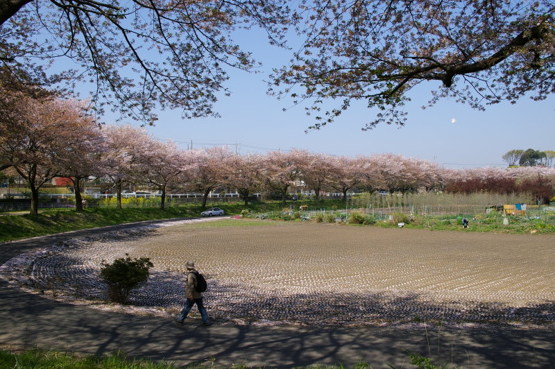 b0120979_2044134.jpg