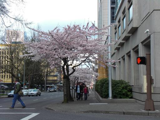 f0112080_12153317.jpg