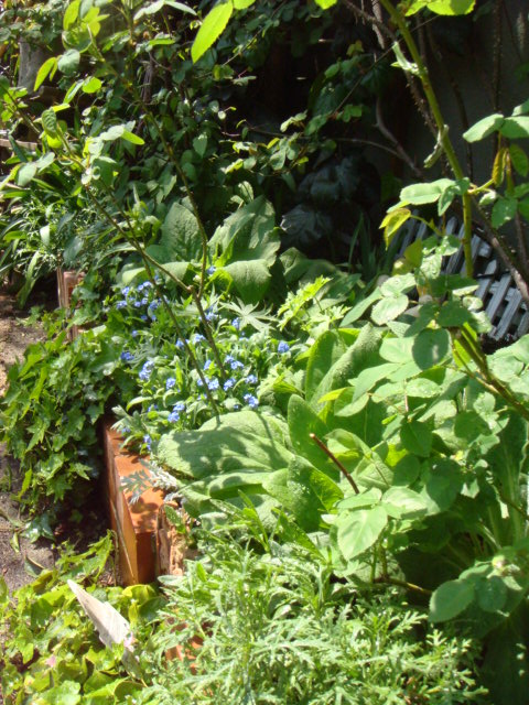 e0154682_23262983.jpg