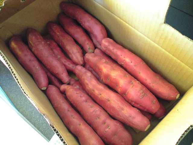 f0051283_2375824.jpg