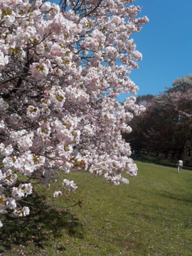 c0180686_229740.jpg