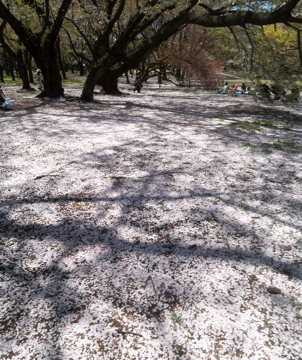 c0180686_232349.jpg