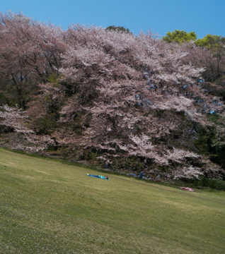 c0180686_2354645.jpg