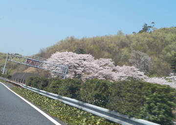 c0180686_2401123.jpg
