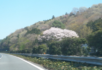 c0180686_2402741.jpg
