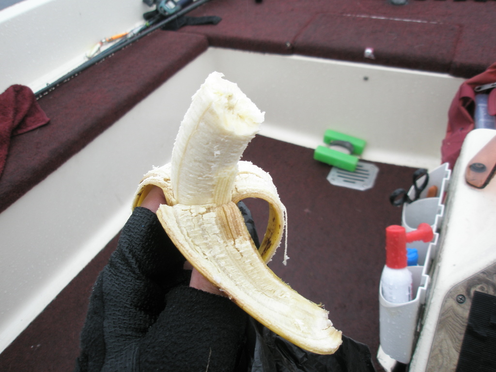 f0024887_7164435.jpg