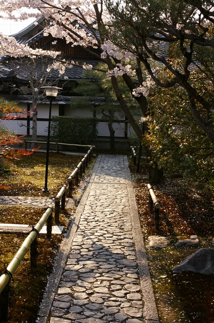 b0080789_233802.jpg