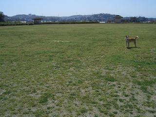 e0023790_1546508.jpg