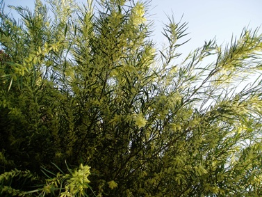 d0104091_16254970.jpg