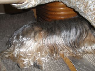 f0130894_20384519.jpg