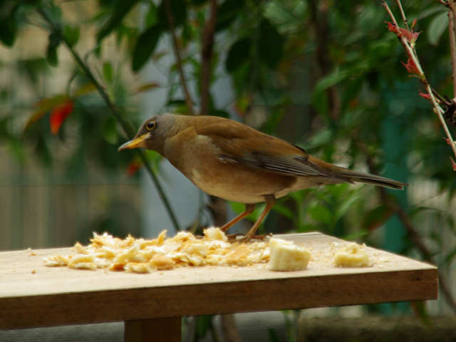 f0204094_1364240.jpg