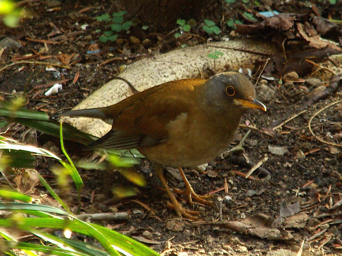 f0204094_137023.jpg