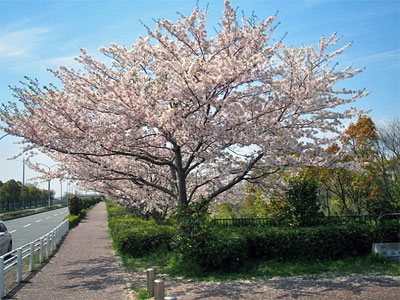 b0108100_1539237.jpg