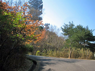 b0108100_15393943.jpg