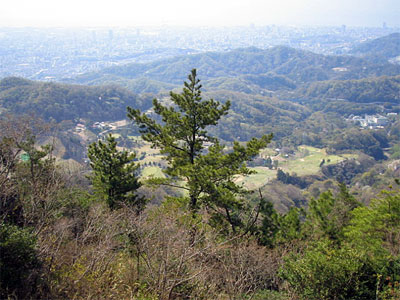 b0108100_17191015.jpg