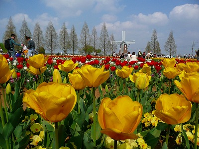 a0024005_18313366.jpg