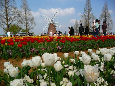 a0024005_18555876.jpg