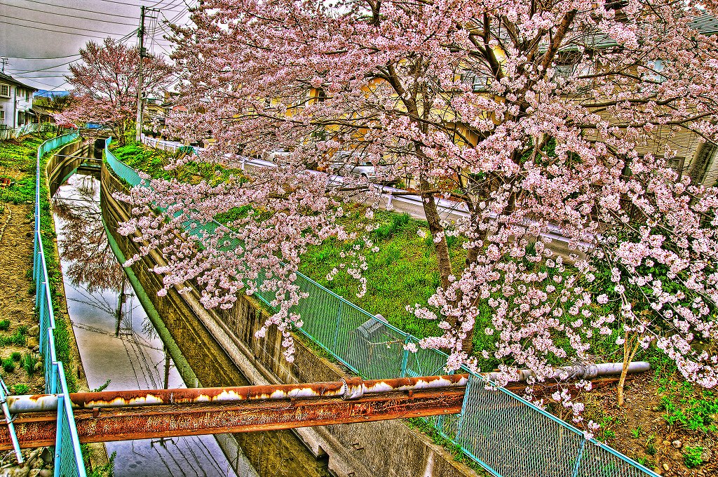 c0180505_4412873.jpg