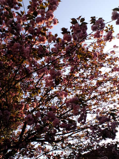 a0088007_2314395.jpg