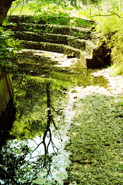 c0191707_22275018.jpg