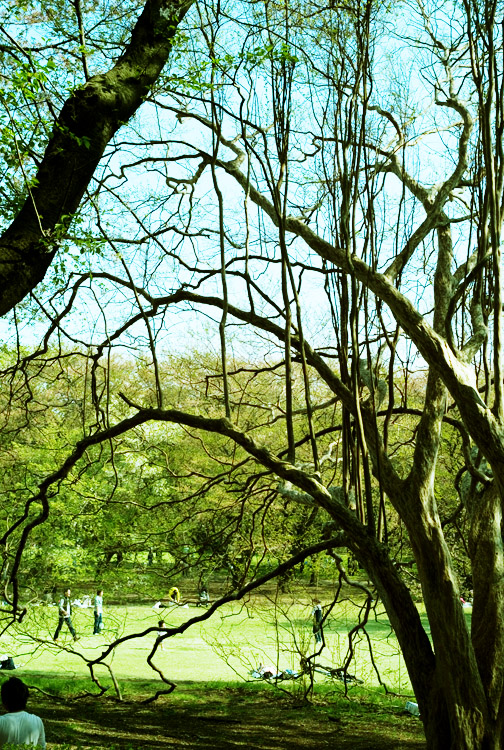 c0191707_22375230.jpg