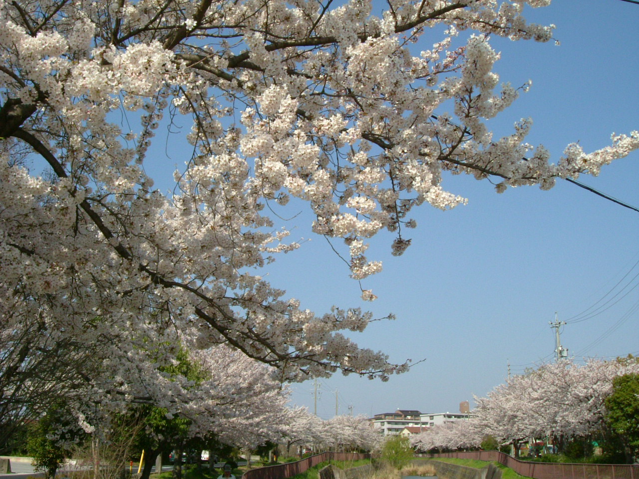 b0147710_22272529.jpg