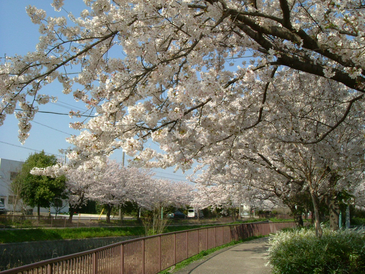 b0147710_2257850.jpg