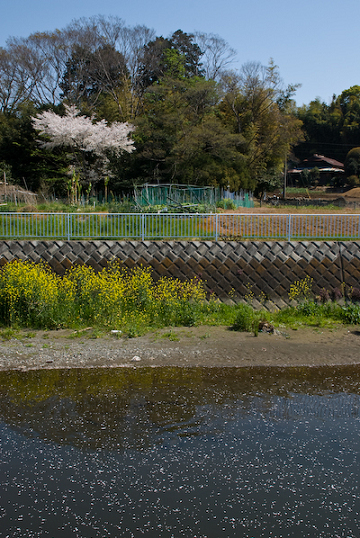 b0156314_6441467.jpg
