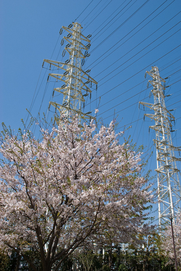 b0156314_6472575.jpg